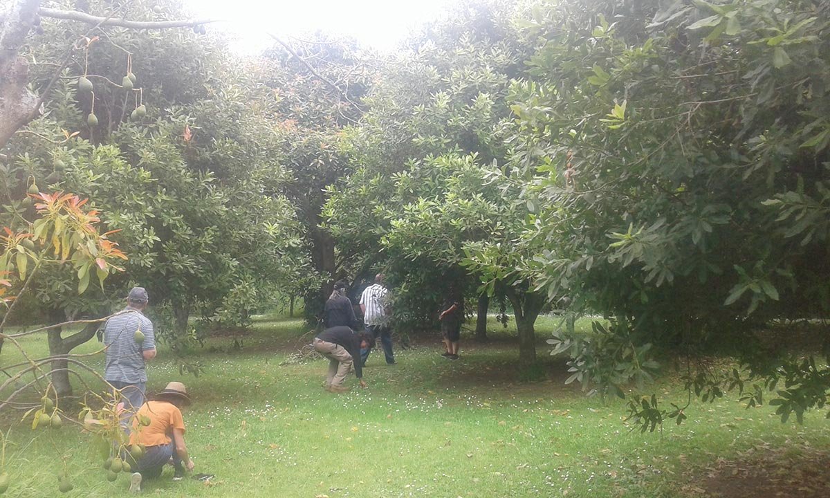 Ongare Point Organics Field Day