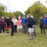 MACADAMIA ORCHARD FIELD DAY