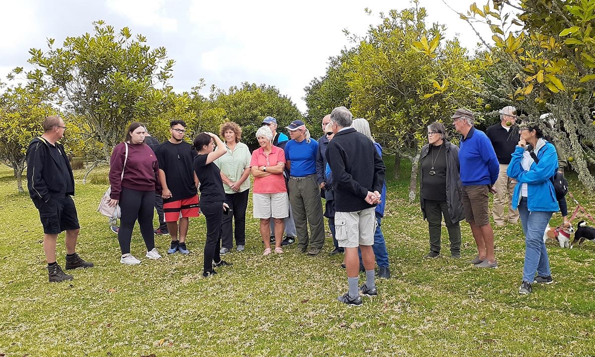 You are currently viewing MACADAMIA ORCHARD FIELD DAY